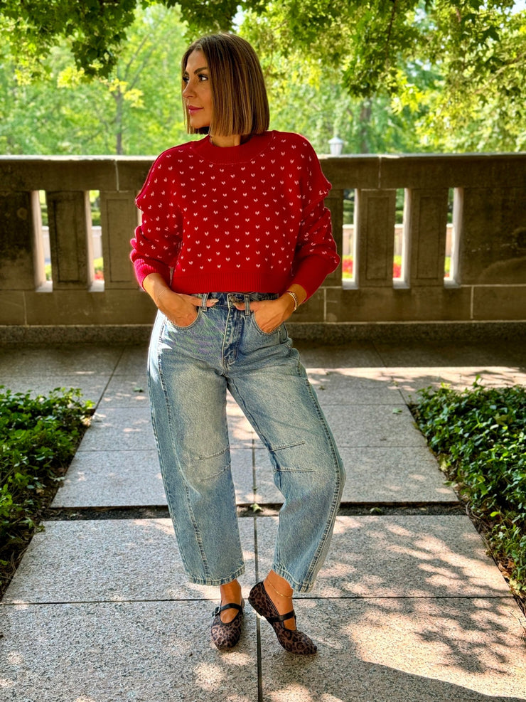 Easy Street Patterned Crop Pullover (Cherry Combo) by Free People - premiumvoguevanity